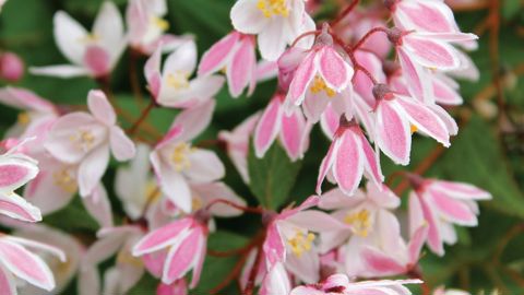 PHOTO : GREEN IS LIFE