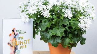 PHOTOS : ZVG PHOTOS : ZVG