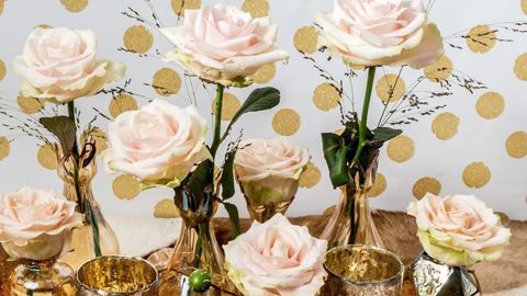 PHOTO : DÜMMEN ORANGE