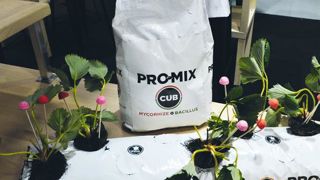 PHOTO : ISABELLE CORDIER PHOTO : ISABELLE CORDIER