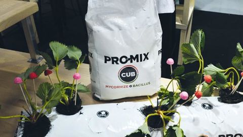 PHOTO : ISABELLE CORDIER