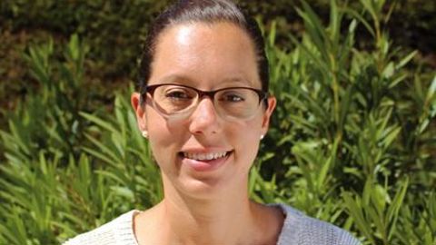 Les mouches sciarides, ravageurs communs, ne doivent pas être sous-estimées dans les milieux humides et riches en humus, sous risque de rencontrer de fortes pullulations qui pénalisent les cultures.Ci-contre : Bradysia paupera adulte. En vignette, les larves. PHOTOS : KOPPERT