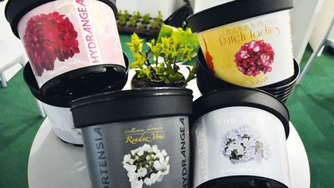 PHOTO : ISABELLE CORDIER