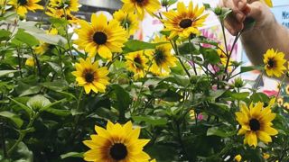 PHOTO : A. DUCRETTET PHOTO : A. DUCRETTET