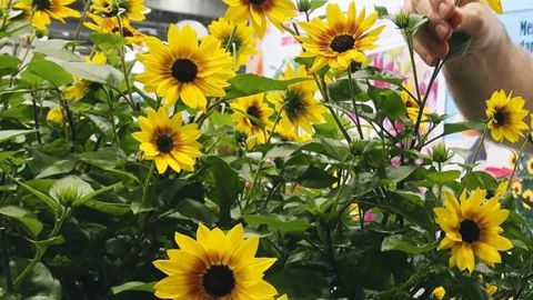 PHOTO : A. DUCRETTET