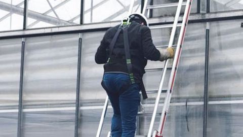 Échelle avec marches télescopiques et rampe d'accès : elle peut être utilisée jusqu'à 4,60 m de hauteur. Elle permet une sortie frontale sur le chéneau et doit être fixée à la serre, en utilisant, par exemple, des crochets.