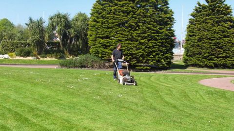 Mises en place variées, pratiques culturales adaptées et choix pertinent d'espèces et de variétés sont autant de solutions pour répondre aux attentes et besoins actuels.