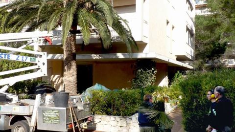 Le bilan de l'action menée par la Communauté d'agglomération est positif, mais l'efficacité de la lutte dépend d'une coordination sur l'ensemble du territoire national voire européen. La lutte contre le charançon rouge du palmier est obligatoire. PHOTO : CAVEMPHOTO : CAVEM