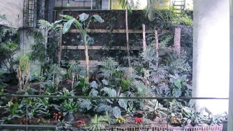 La serre de la gare de Lyon, sur la ligne 14, installée en 1998, montre les difficultés d'installer des végétaux dans le métro parisien, malgré les avantages offerts en termes de dépollution potentielle.