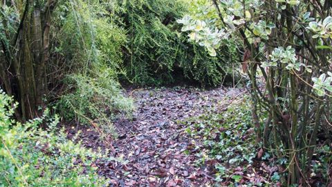 PHOTO : VALÉRIE VIDRIL