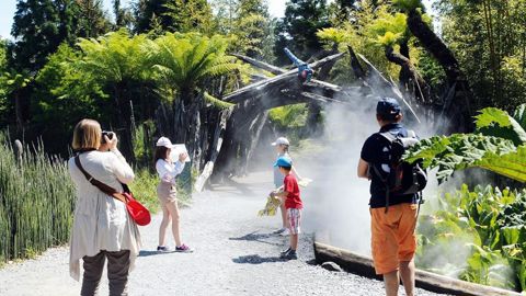 Les univers du parc sont aujourd'hui aboutis. Ici la forêt primaire.PHOTO : TERRA BOTANICA