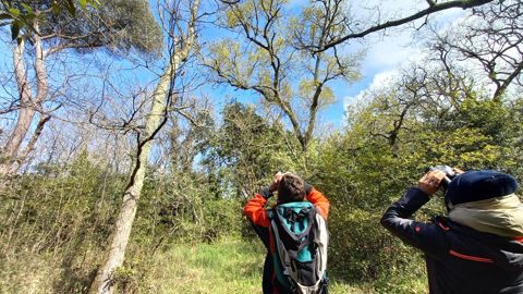 Avec son équipe, Sylvain Delzon, chercheur à l’Inrae- Université de Bordeaux, évalue les bienfaits que les forêts urbaines peuvent apporter. Ils installent des instruments pour comprendre l’impact du réchauffement climatique sur les arbres et mesurer les éventuelles conséquences sur le microclimat local.T. CAIGNARD
