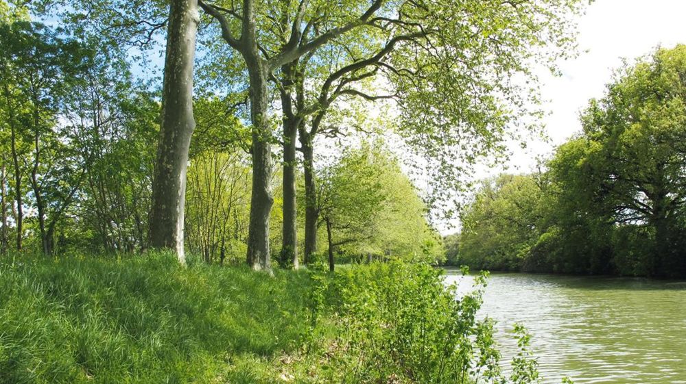 Le nouvel arrêté du 4 mai encadrant l'utilisation des produits phytosanitaires reste proche du texte de 2006, avec quelques nouveaux articles sur les délais de rentrée, les EPI et l'interdiction de toute application directe de produit sur les éléments du réseau hydrographique. Le nouvel arrêté du 4 mai encadrant l'utilisation des produits phytosanitaires reste proche du texte de 2006, avec quelques nouveaux articles sur les délais de rentrée, les EPI et l'interdiction de toute application directe de produit sur les éléments du réseau hydrographique.