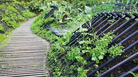 Phoenix ( Jardin n° 19 bis). Il s'agit d'une allégorie sur le pouvoir des plantes après une catastrophe. À découvrir à Chaumont-sur-Loire ce printemps et cet été.PHOTO : PHILIPPE GROLIER