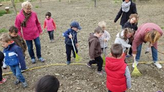 Les enfants des écoles maternelles de Castelnaudary ont, eux aussi, une parcelle dans le Jardin des vents. Ils y ont planté du tournesol, du sorgho, des haricots et du maïs.PHOTO : JOHN RIDDEL