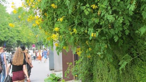 PHOTO : VALÉRIE VIDRIL