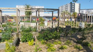 Faire les bons choix dès la conception, bien appréhender la gestion et le fleurissement pour rendre le végétal plus facile à entretenir dans les aménagements urbains, tels sont les objectifs des conférences du pôle paysage du Salon du végétal cette année. Faire les bons choix dès la conception, bien appréhender la gestion et le fleurissement pour rendre le végétal plus facile à entretenir dans les aménagements urbains, tels sont les objectifs des conférences du pôle paysage du Salon du végétal cette année.