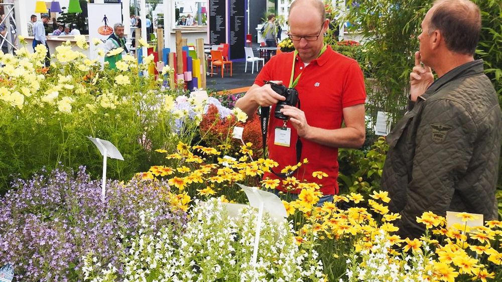 Plantarium se tiendra du 23 au 26 août 2017 à l'International Trade Centre Boskoop-Hazerswoude, en parallèle de Groen-Direkt.PHOTO : PLANTARIUM Plantarium se tiendra du 23 au 26 août 2017 à l'International Trade Centre Boskoop-Hazerswoude, en parallèle de Groen-Direkt.PHOTO : PLANTARIUM