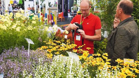 Plantarium se tiendra du 23 au 26 août 2017 à l'International Trade Centre Boskoop-Hazerswoude, en parallèle de Groen-Direkt.PHOTO : PLANTARIUM
