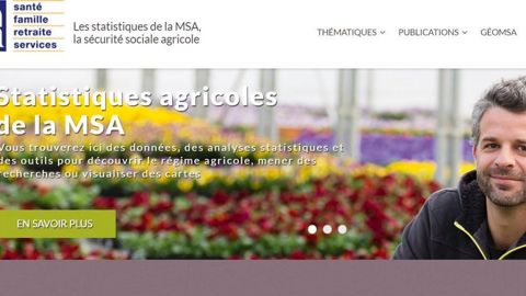Démographie agricole, emploi, revenus, accidents du travail, santé, retraite... : de nombreuses données statistiques sont accessibles depuis le site Internet de la Mutualisé sociale agricole.PHOTO : CCMSA