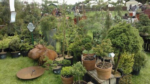 Le stand des Pépinières des Laurains (10) et leur collection de « conifères bijoux » a remporté le Prix de la Presse, ex-aequo avec les pépinières Lappen (Allemagne).