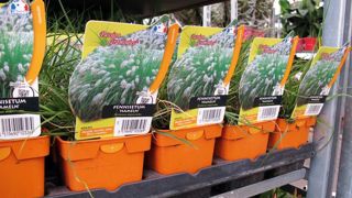 Les produits français disposent d'un code-barres dont les trois premiers chiffres sont compris entre 300 et 379.