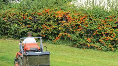 Accueillir un jeune en apprentissage dans son entreprise représente bien plus qu'un apport de main-d'oeuvre moins onéreuse d'une part et des démarches administratives parfois rébarbatives d'autre part. Il s'agit davantage d'une véritable valorisation de son métier et de son entreprise.