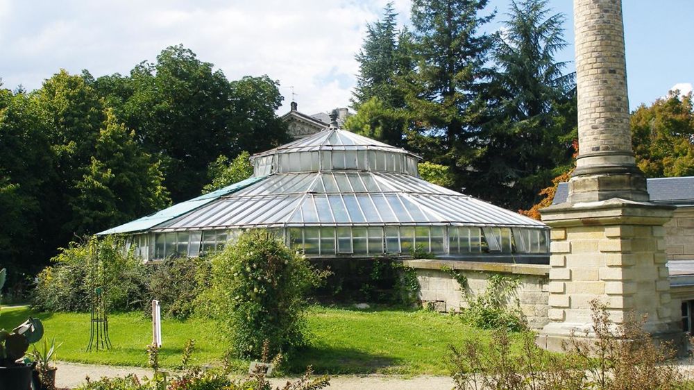 Anciennement dédiée à la culture du nénuphar géant, la serre du jardin botanique de Strasbourg doit être rénovée, notamment sa charpente métallique et son chauffage. Anciennement dédiée à la culture du nénuphar géant, la serre du jardin botanique de Strasbourg doit être rénovée, notamment sa charpente métallique et son chauffage.