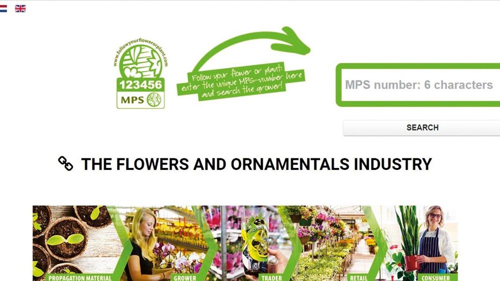 Munis du numéro individuel MPS, mentionné sur le logo, les consommateurs peuvent aller sur la plate-forme interactive www.followyourflowerorplant.com (néerlandais, anglais et allemand) pour identifier le producteur et s'informer sur le niveau de durabilité de la production. Munis du numéro individuel MPS, mentionné sur le logo, les consommateurs peuvent aller sur la plate-forme interactive www.followyourflowerorplant.com (néerlandais, anglais et allemand) pour identifier le producteur et s'informer sur le niveau de durabilité de la production.