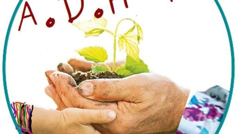 L'association de développement de l'hortithérapie mise sur le partage entre valides et malades, par l'intermédiaire des plantes et du jardin.PHOTO : A.D.H.T.