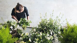 En 2016, les achats de végétaux d'ornement ont progressé en volume de 1,7 % par rapport à 2015, avec 437 millions d'entités achetées, et de 0,7 % en valeur, avec un achat moyen de 105 euros sur l'année. En 2016, les achats de végétaux d'ornement ont progressé en volume de 1,7 % par rapport à 2015, avec 437 millions d'entités achetées, et de 0,7 % en valeur, avec un achat moyen de 105 euros sur l'année.