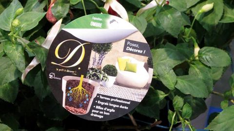 Pour garantir un résultat déco et durable, le groupement mise sur des composants de qualité.