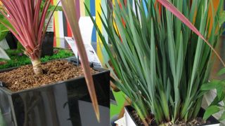 Les concepts prêts à poser se développent pour répondre à une nouvelle clientèle qui souhaite un effet immédiat sans effort (ici, la gamme Déco graphique de Kerisnel). De multiples pistes s'ouvrent à la filière pour faciliter le jardinage, il suffit « d'unir nos efforts », estime Benoît Ganem. Les concepts prêts à poser se développent pour répondre à une nouvelle clientèle qui souhaite un effet immédiat sans effort (ici, la gamme Déco graphique de Kerisnel). De multiples pistes s'ouvrent à la filière pour faciliter le jardinage, il suffit « d'unir nos efforts », estime Benoît Ganem.