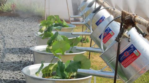 PHOTO : VALÉRIE VIDRIL