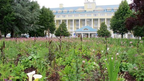 Situé face au Newport Bay Club Hotel, le jardin hollandais de Disneyland Paris a été inauguré le 28 juin dernier.