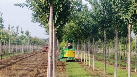 PHOTO : GWENNAËLLE ANDRÉ