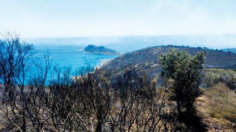 PHOTO : RAYMOND VIALA - CEN PACA