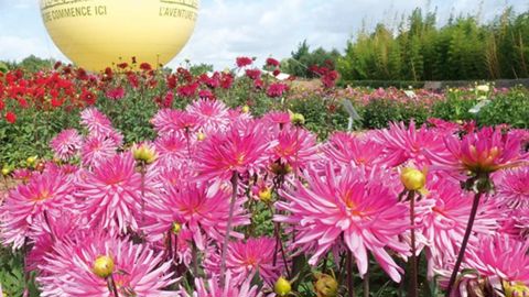 PHOTO : TERRA BOTANICA