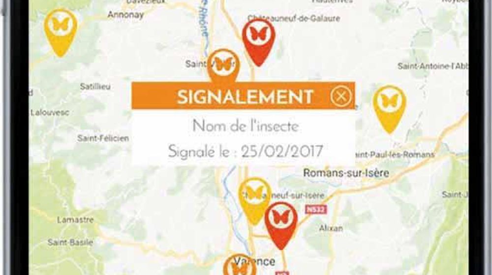 L'application permet aux jardiniers amateurs ou professionnels d'être informés d'une invasion potentielle et de réagir rapidement pour un traitement efficace.PHOTO : BIOLINE