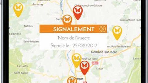 L'application permet aux jardiniers amateurs ou professionnels d'être informés d'une invasion potentielle et de réagir rapidement pour un traitement efficace.PHOTO : BIOLINE