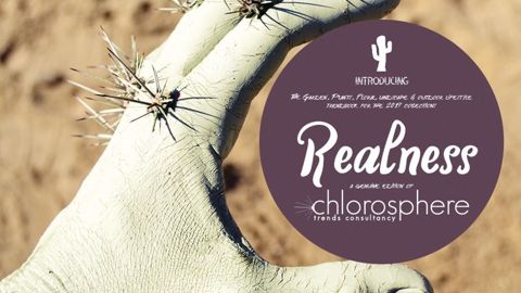 La couverture du cahier de tendances de Chlorosphère qui vient de sortir : « La société acerbe, hérissée de ses attentes despotiques tend à se saisir d'un réalisme impalpable, dans un univers atomisé, sableux, implacablement aride », explique Chlorosphère.