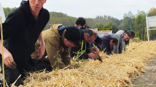 Plantation d'une haie d'arbres et d'arbustes Végétal local, issus de la pépinière du centre de formation professionnelle et de promotion agricoles d'Angers Le Fresne.         Plantation d'une haie d'arbres et d'arbustes Végétal local, issus de la pépinière du centre de formation professionnelle et de promotion agricoles d'Angers Le Fresne.