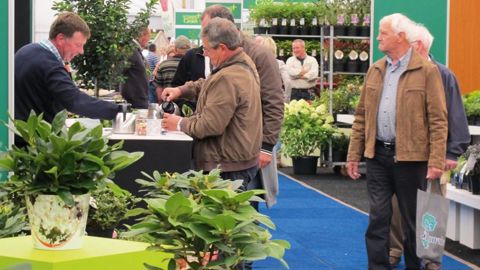 La 27e édition de GrootGroenPlus se tiendra à Zundert du 4 au 6 octobre. Au programme : la présentation des plantes nominées au concours de l'innovation, de variétés favorites des exposants et d'une sélection du KVBC.
