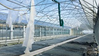 Il est toujours bon d'avoir un peu de verre en stock, un kit de dépannage ou une longueur de bâche pour pouvoir faire un minimum de réparations d'urgence et limiter les pertes.PHOTO : GBV