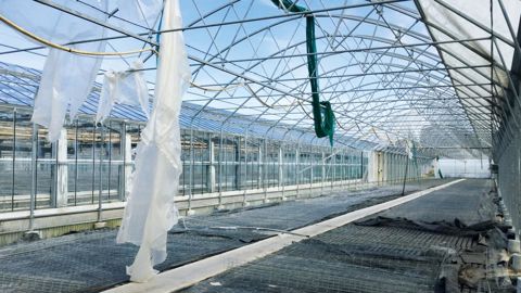 Il est toujours bon d'avoir un peu de verre en stock, un kit de dépannage ou une longueur de bâche pour pouvoir faire un minimum de réparations d'urgence et limiter les pertes.PHOTO : GBV