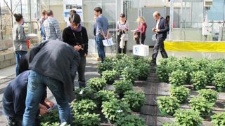 Les portes ouvertes, comme ici à la Stepp-Astredhor Loire-Bretagne, offrent aux professionnels une occasion de se rencontrer et d'échanger sur différentes problématiques. Les portes ouvertes, comme ici à la Stepp-Astredhor Loire-Bretagne, offrent aux professionnels une occasion de se rencontrer et d'échanger sur différentes problématiques.