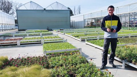Durant sa licence par apprentissage, Nathan a développé une gamme de vivaces en grosses mottes pour les collectivités au sein des Fleurs du Layon (49). des Fleurs du Layon (49).
