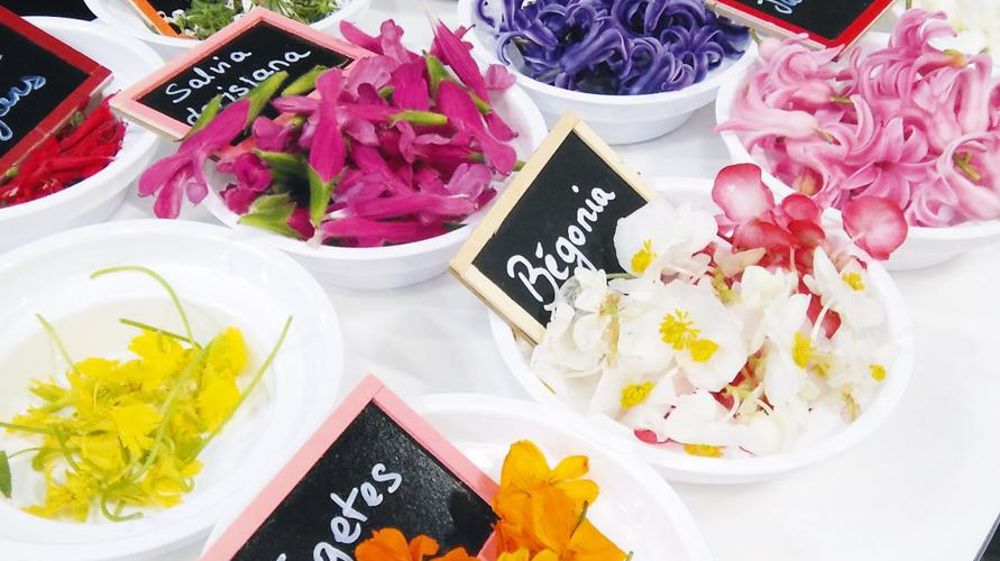 Les fleurs comestibles sont au centre d'un projet de coopération européenne visant à réorganiser cette filière. PHOTO : CREAT Les fleurs comestibles sont au centre d'un projet de coopération européenne visant à réorganiser cette filière. PHOTO : CREAT