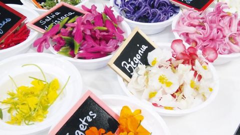 Les fleurs comestibles sont au centre d'un projet de coopération européenne visant à réorganiser cette filière. PHOTO : CREAT