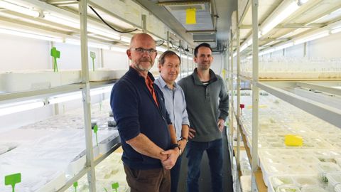De gauche à droite : Gilles Colinet, actuel directeur d'André Briant Jeunes Plants et gérant du nouveau LAP, Dominique Ménard, directeur du LAP et Mathieu Bilotte, associé dans le LAP et directeur actuel des pépinières Multibaies.PHOTO : LAP